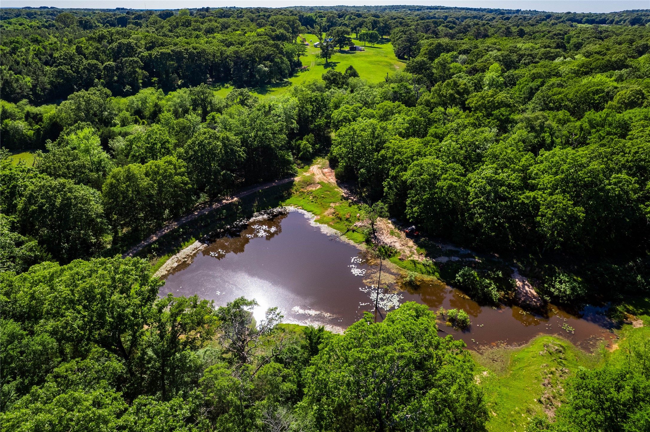 12401 County Road 1113
