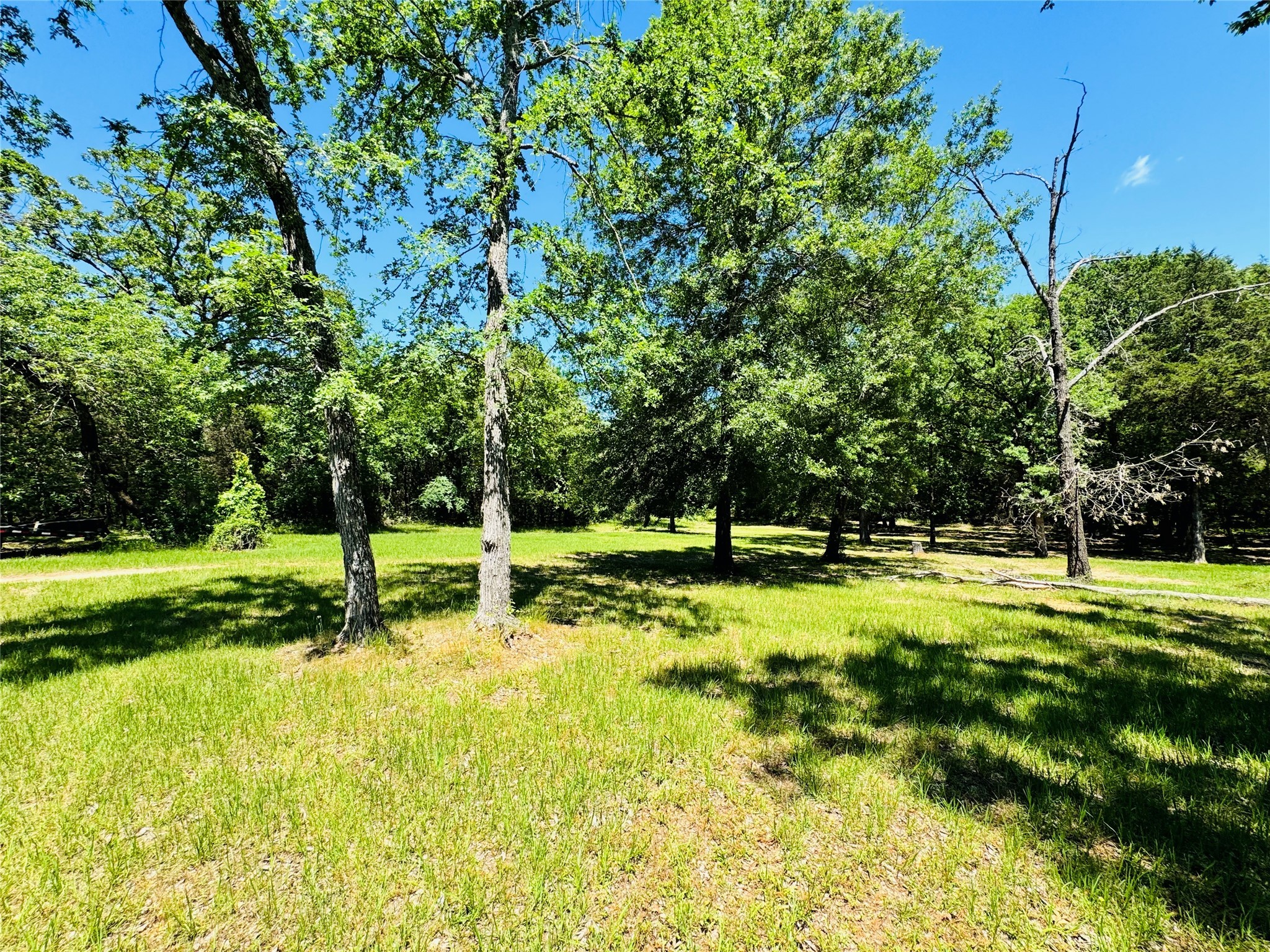 8636 ST HWY 31 W