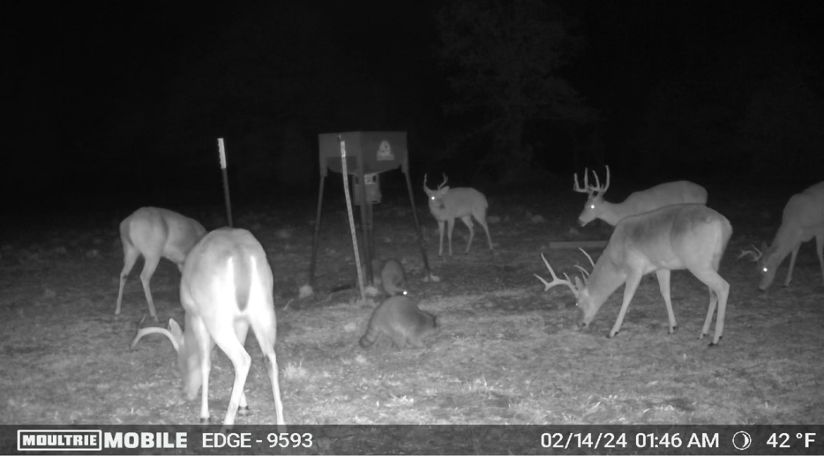 TBD County Road 1103