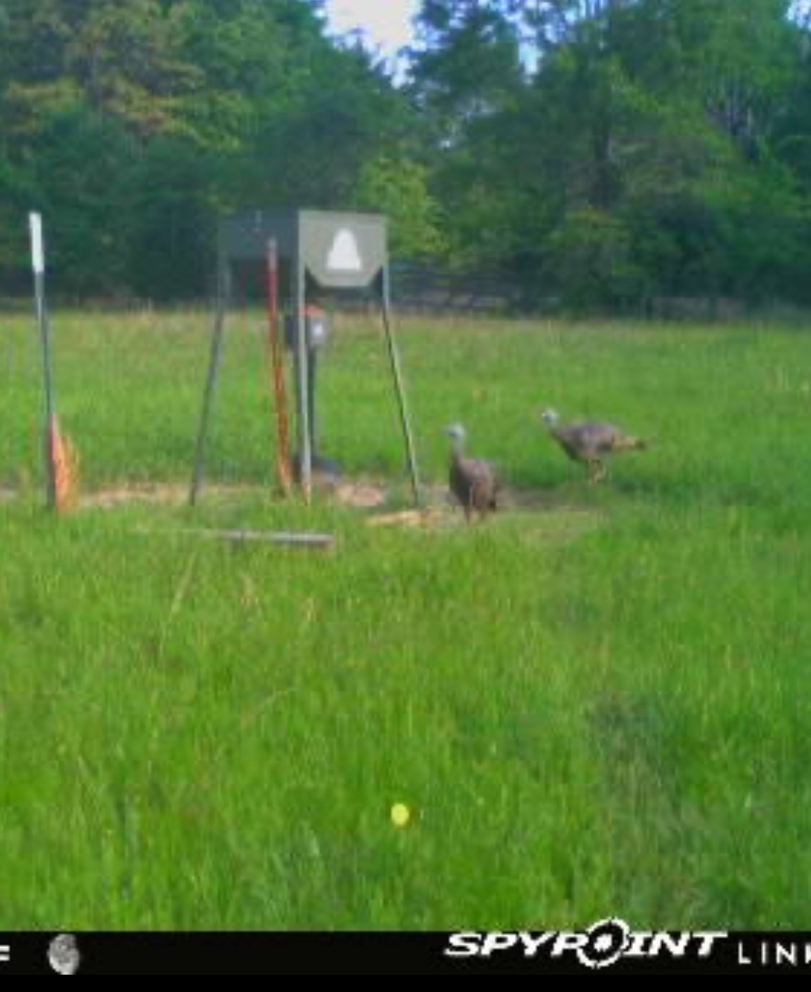 TBD County Road 1103