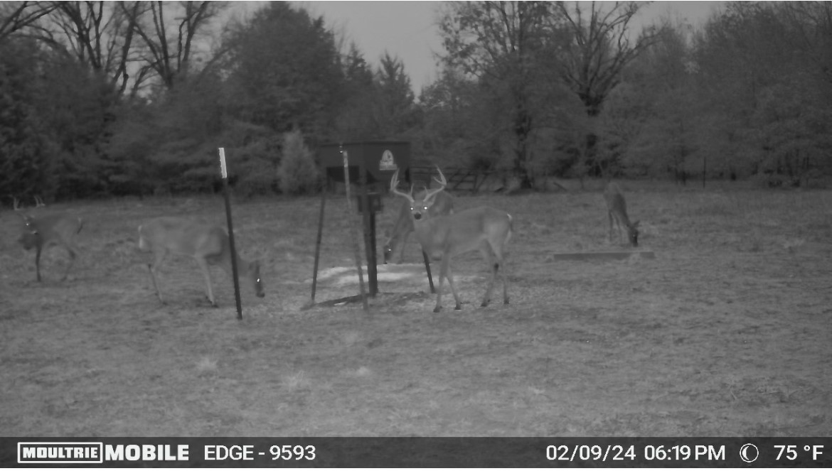 TBD County Road 1103