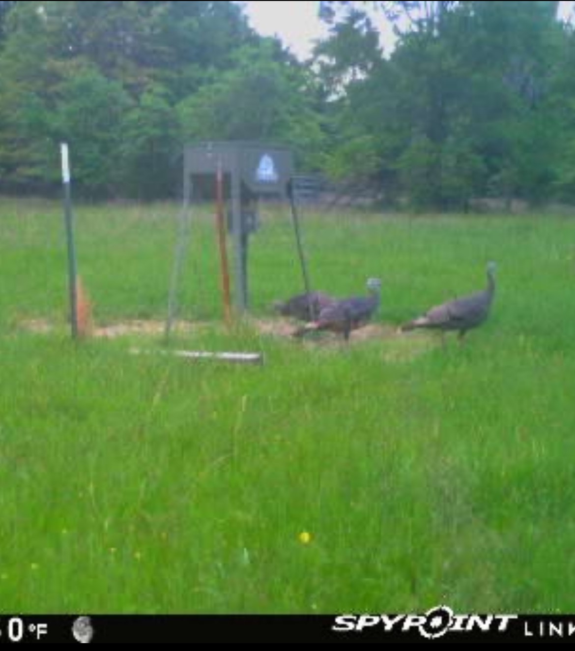 1730 County Road 1103