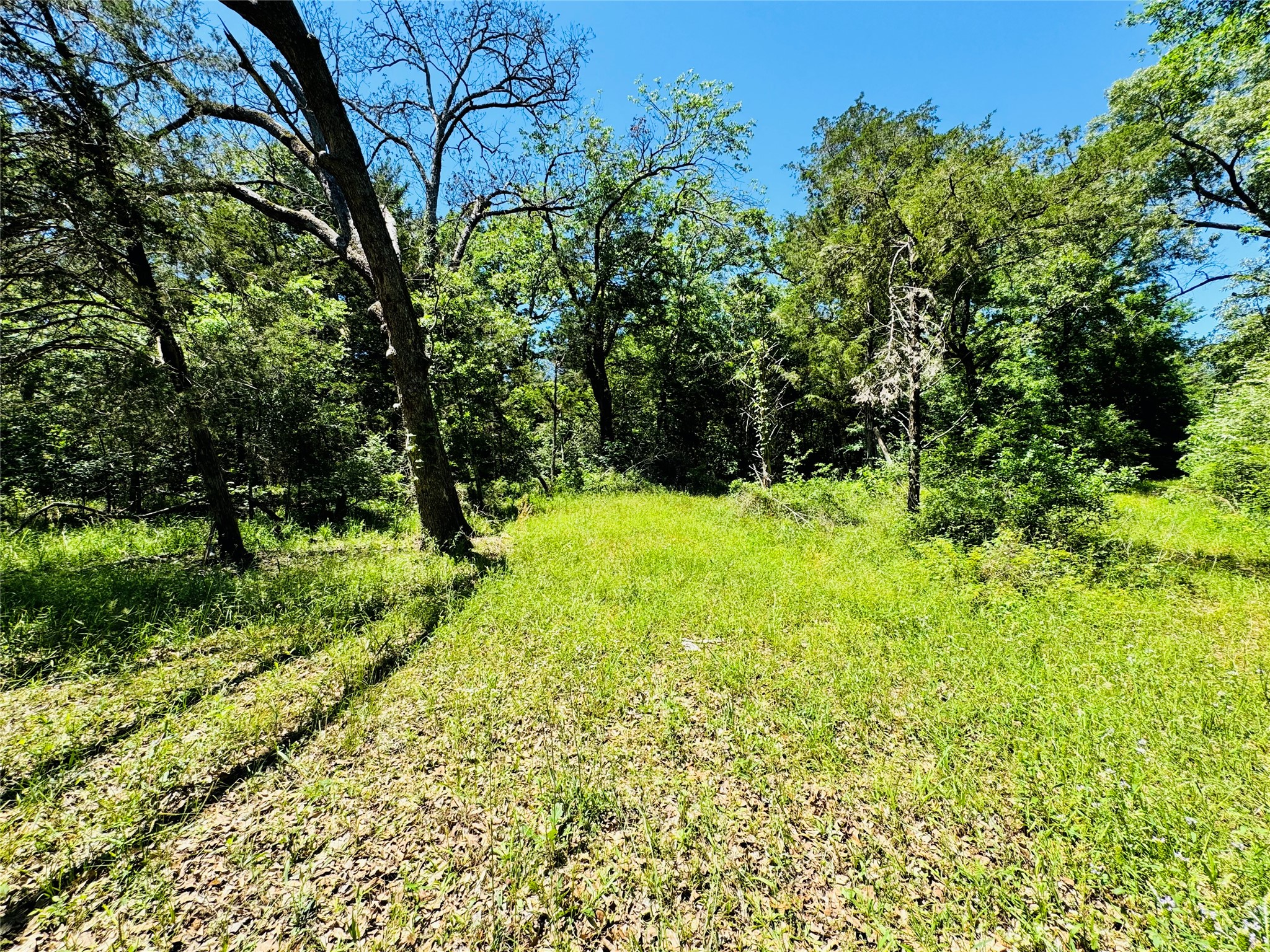 8636 ST HWY 31 W