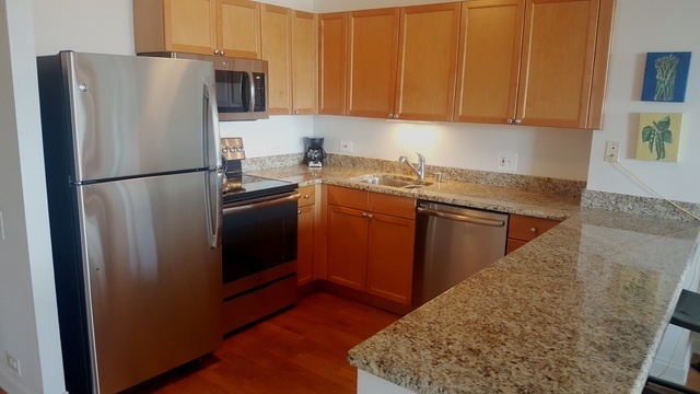 474 N Lake Shore Drive Unit: 5401