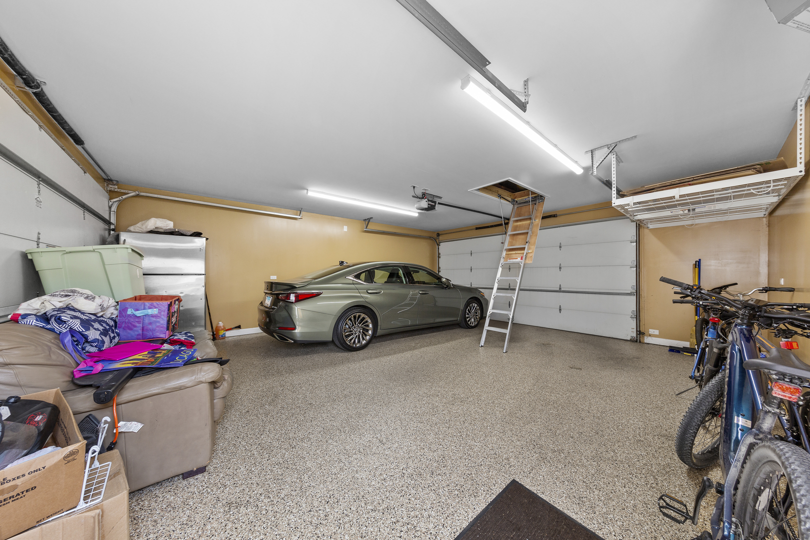 3919 N Oriole Avenue