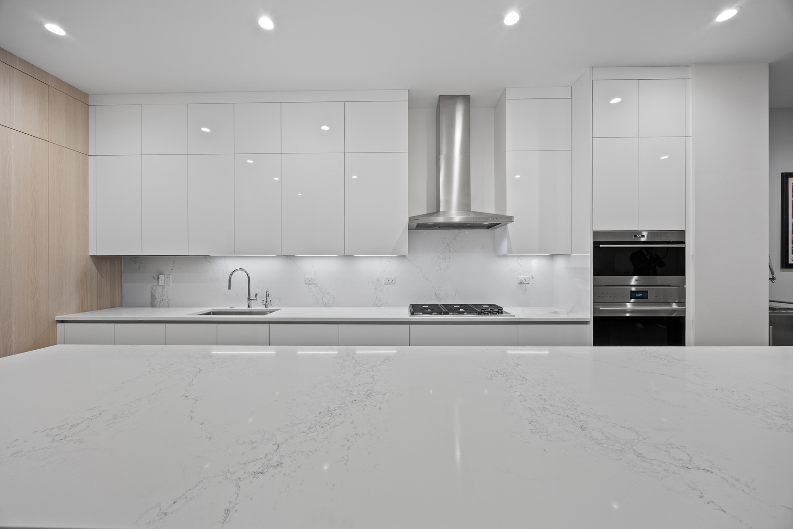 305 S Racine Avenue Unit: PH-D