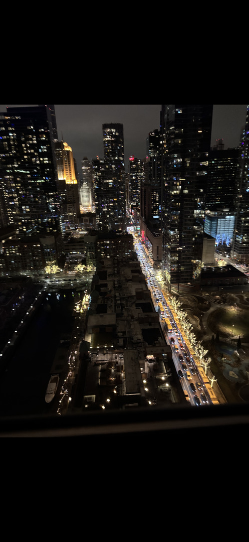 474 N Lake Shore Drive Unit: 3307