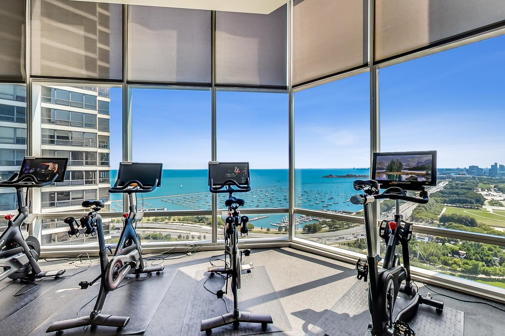 340 E Randolph Street Unit: 4901