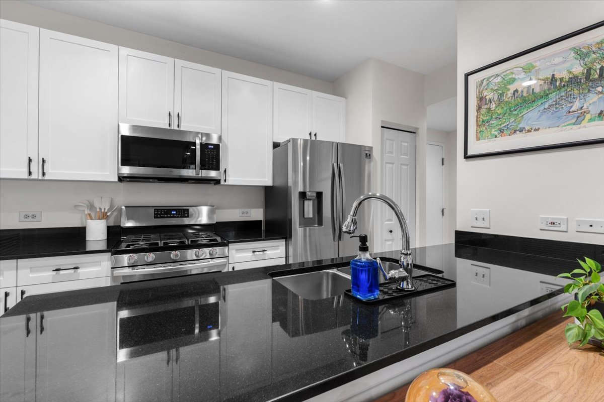 2040 W Belmont Avenue Unit: 308