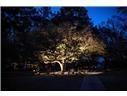 Lot 822 THUNDERBIRD Drive