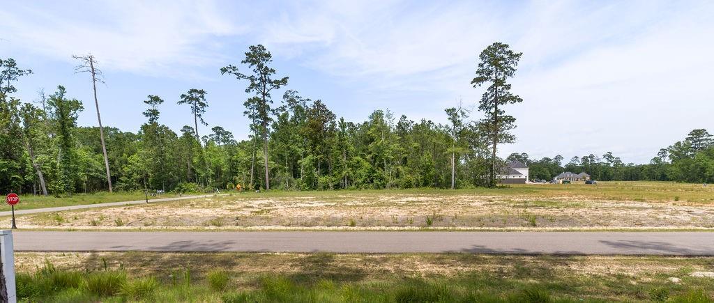 43 SILVERBERRY Drive