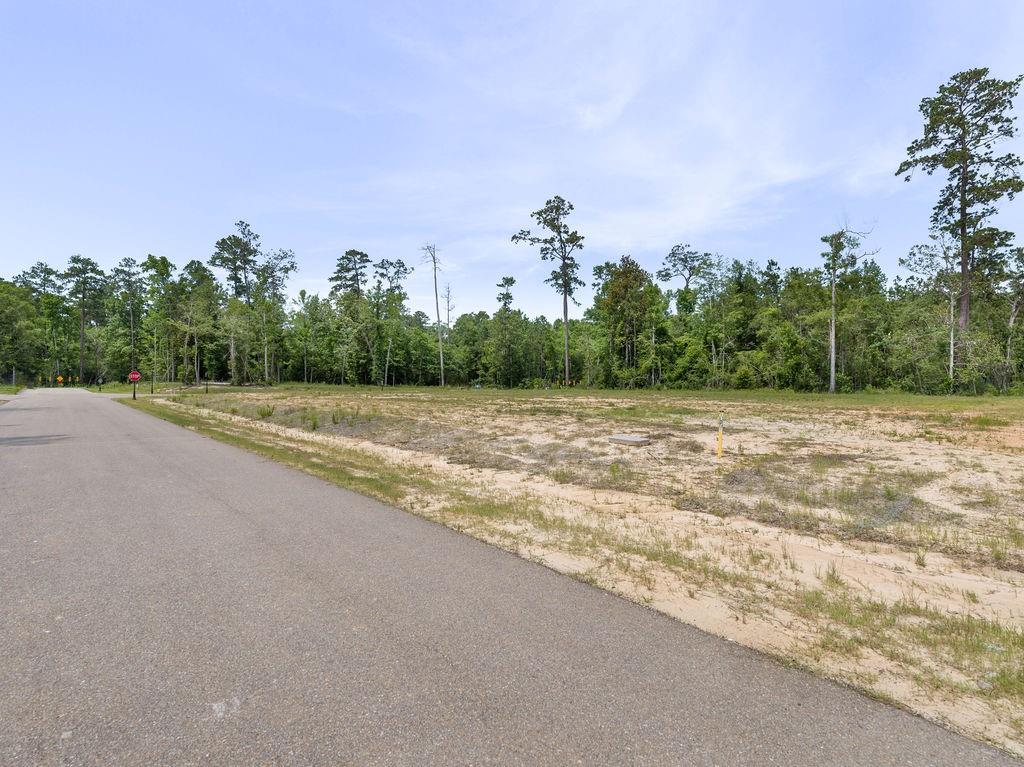 43 SILVERBERRY Drive