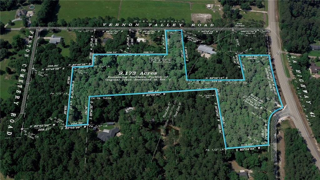 Aerial view of wooded 9.173-acre parcel outlined in blue along Louisiana Highway 41.