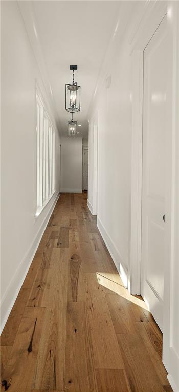 854 CANE LOOP Alley