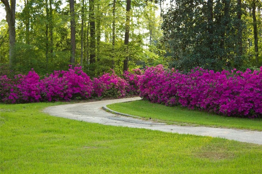 10296 HIGHWAY 190 Highway