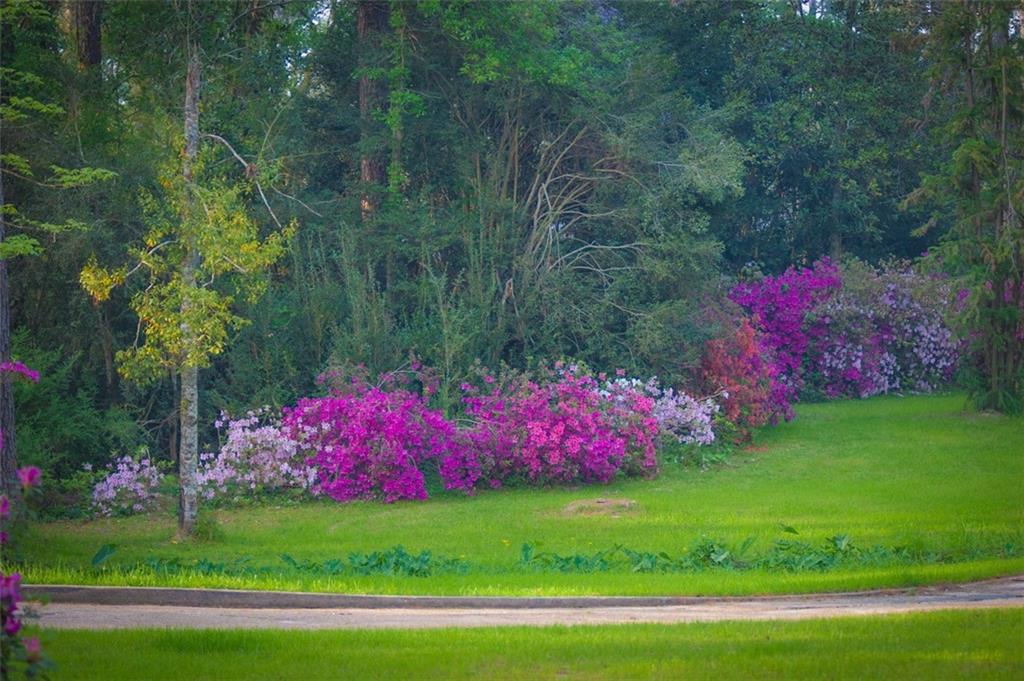 10296 HIGHWAY 190 Highway