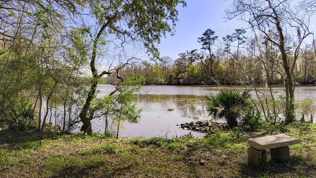 18.29 Acres THREE RIVERS Road