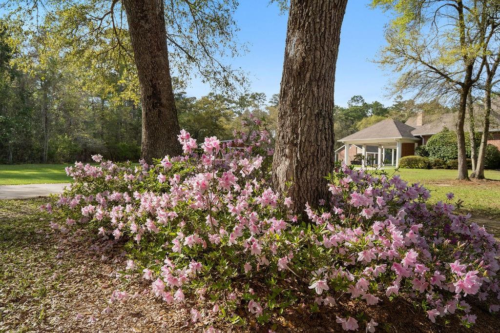 75777 HIGHWAY 1082 (OLD MILITARY RD) Highway