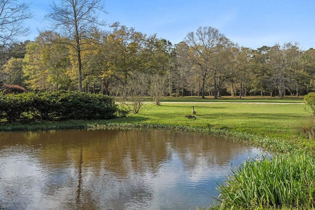 75777 HIGHWAY 1082 (OLD MILITARY RD) Highway