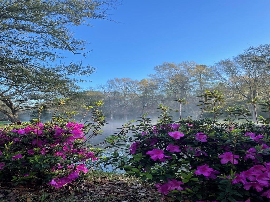 75777 HIGHWAY 1082 (OLD MILITARY RD) Highway