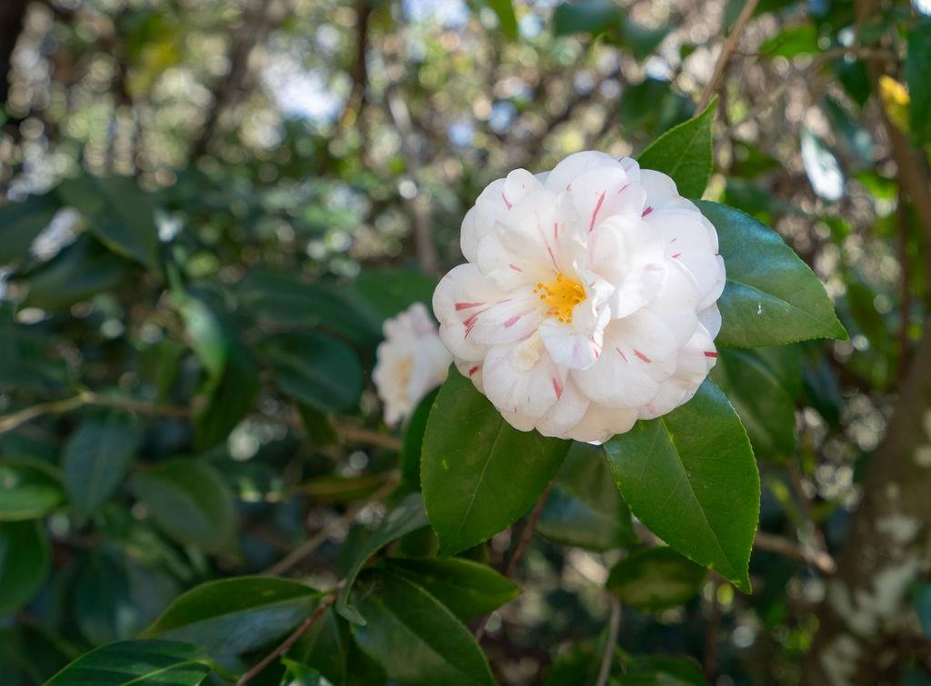 416 S AMERICA Street