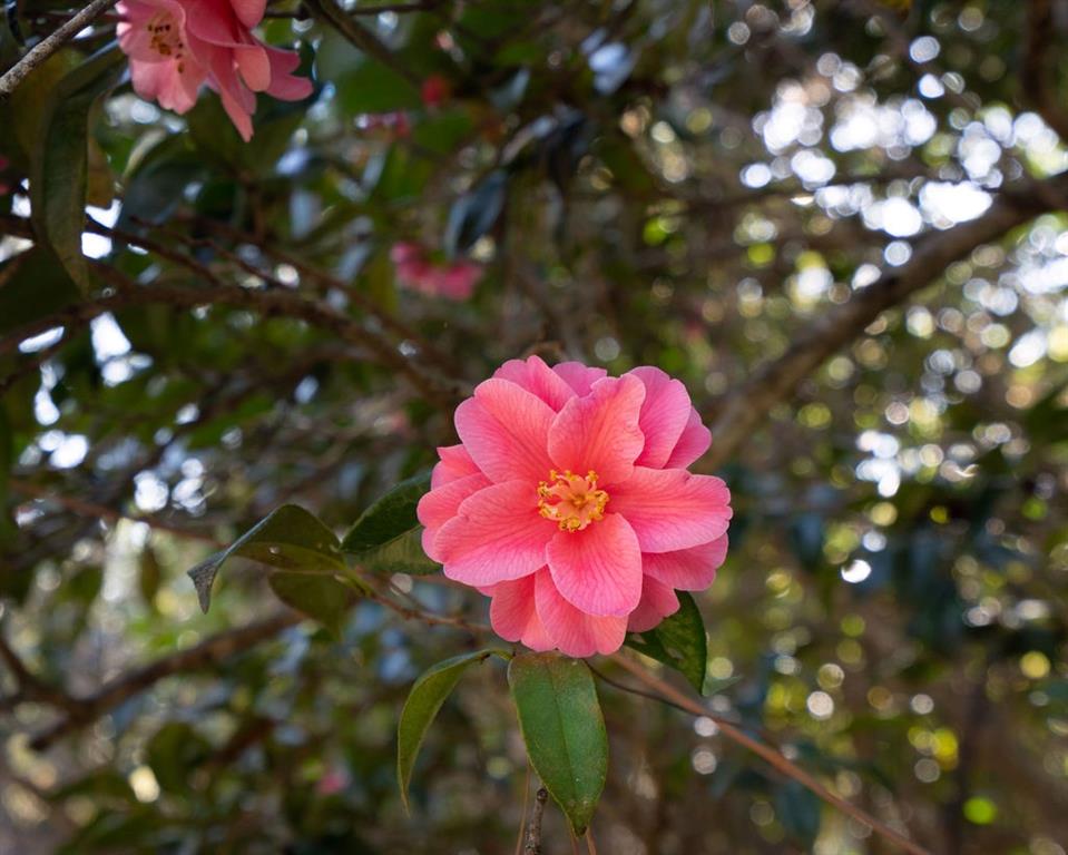 416 S AMERICA Street