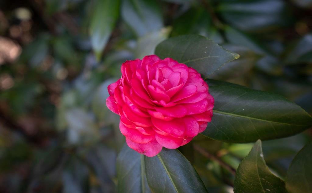 416 S AMERICA Street