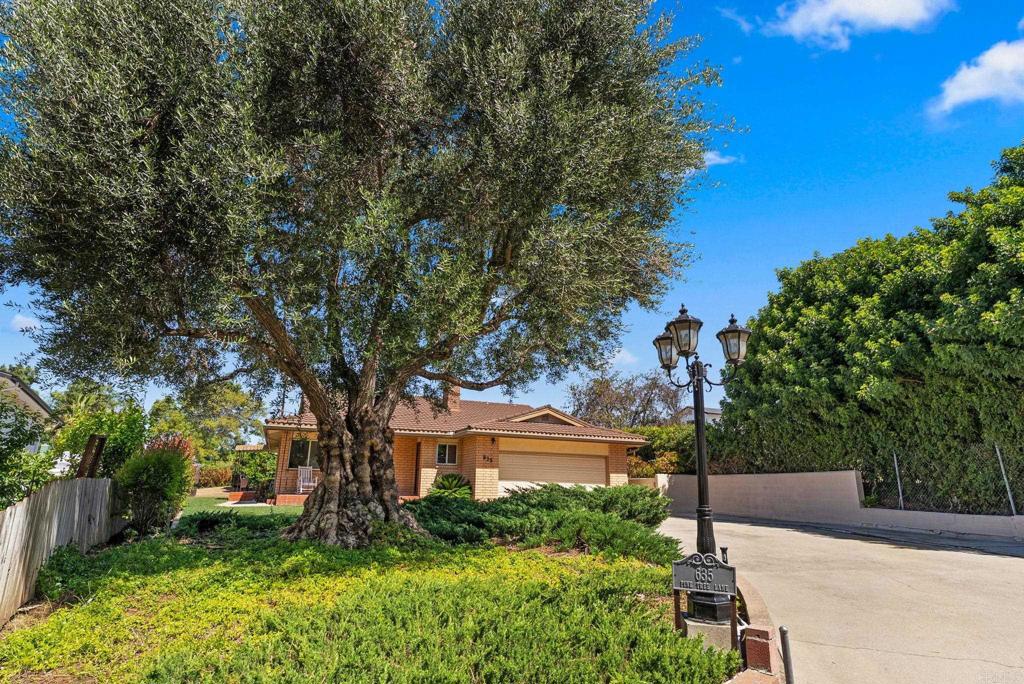 635 Pine Tree Lane