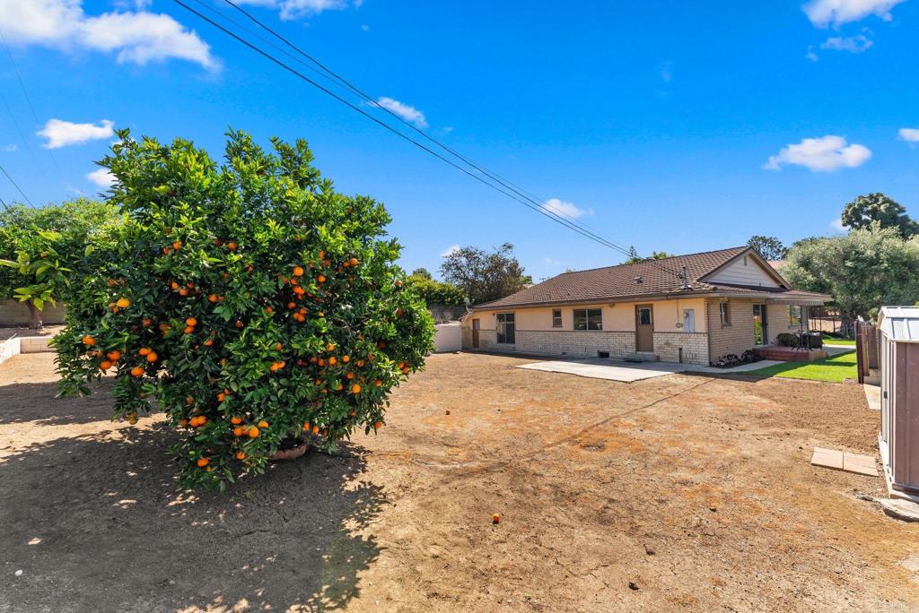 635 Pine Tree Lane