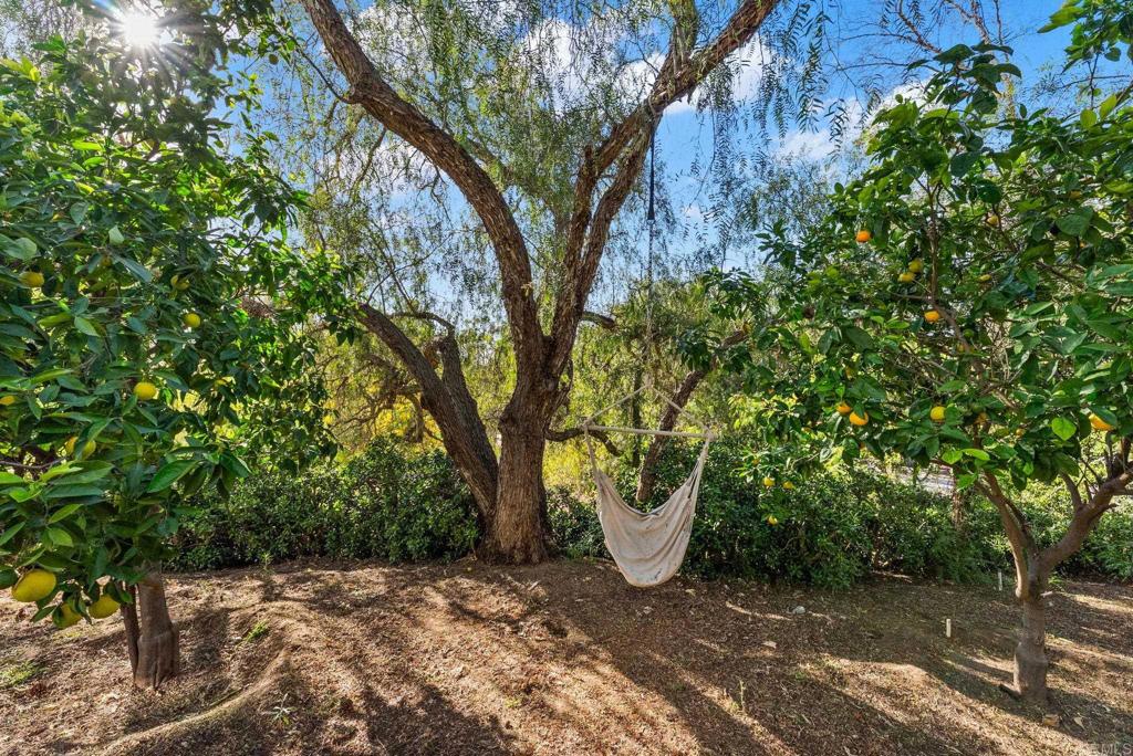 1782 Alta Vista Drive