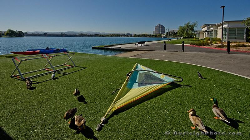 916 Beach Park Boulevard 65