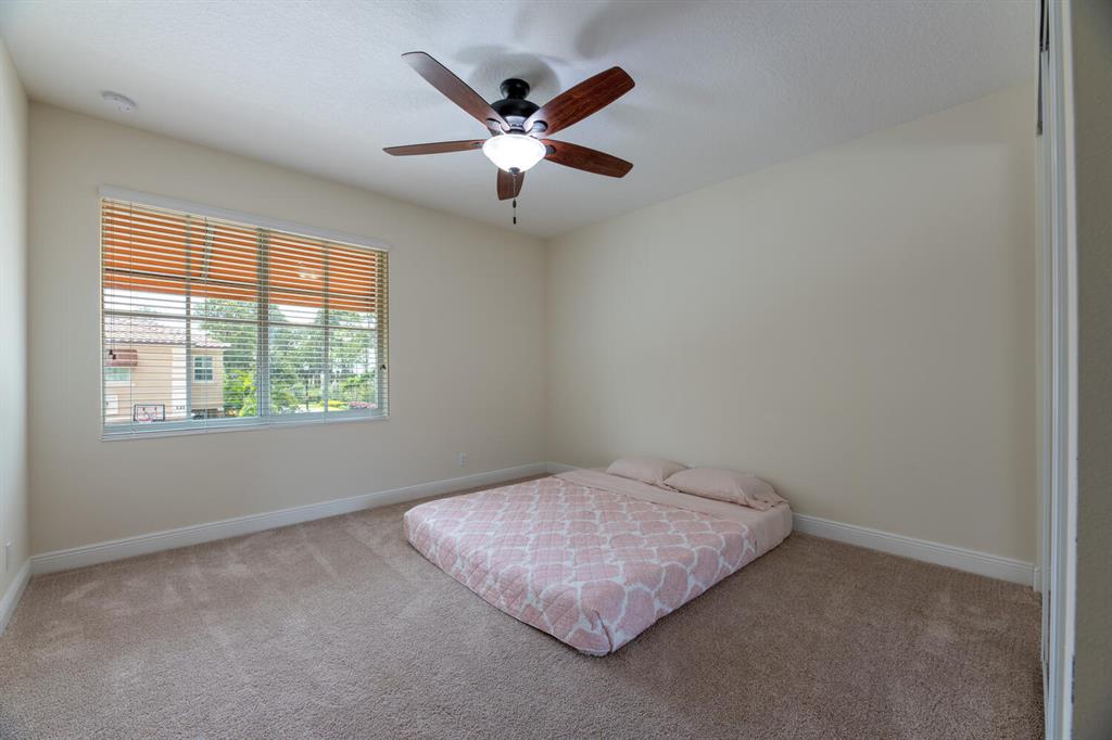 120 Sword Fern Place