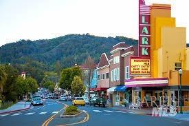 314 Larkspur Plaza Dr