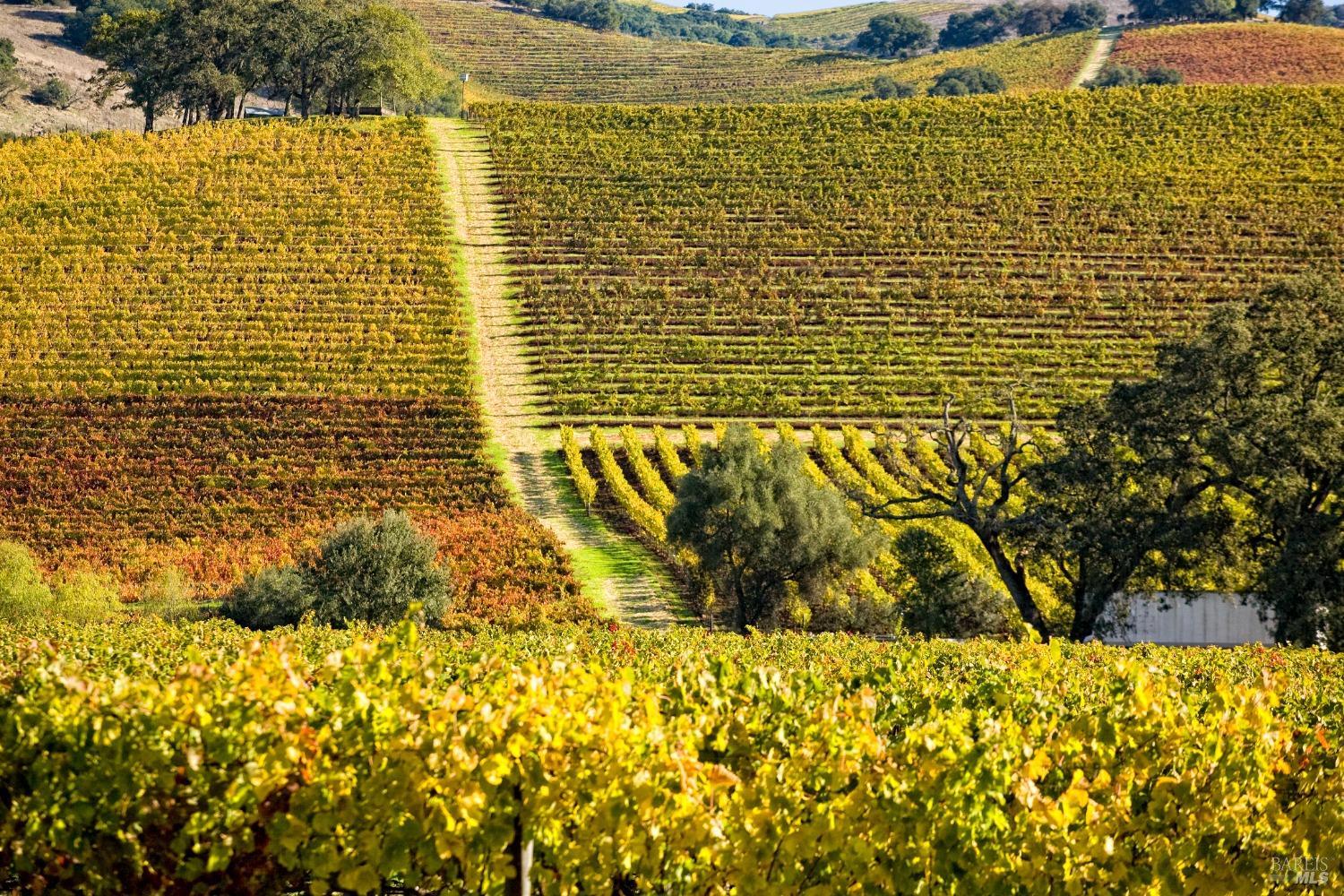 1975 Warm Springs Rd