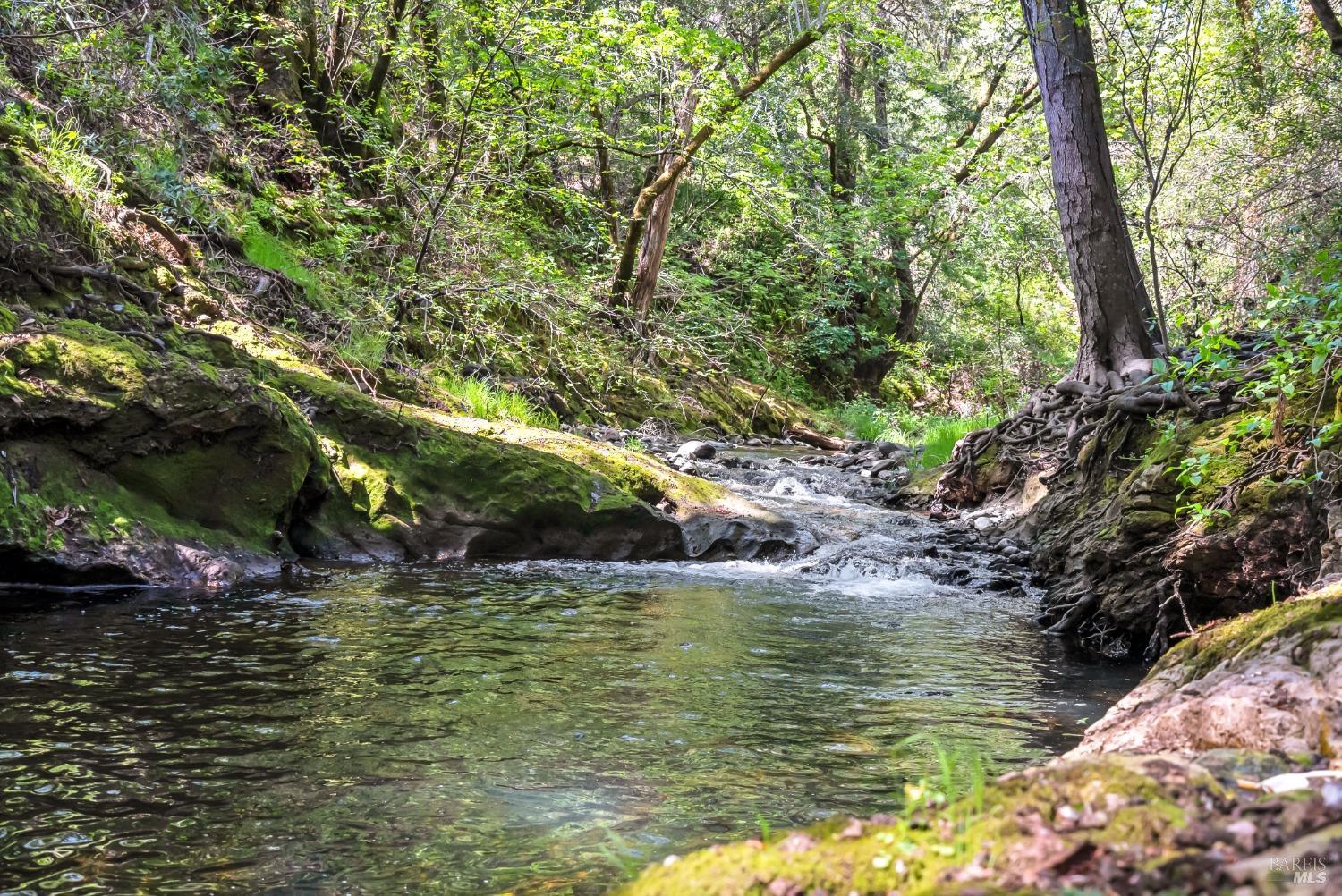 1975 Warm Springs Rd