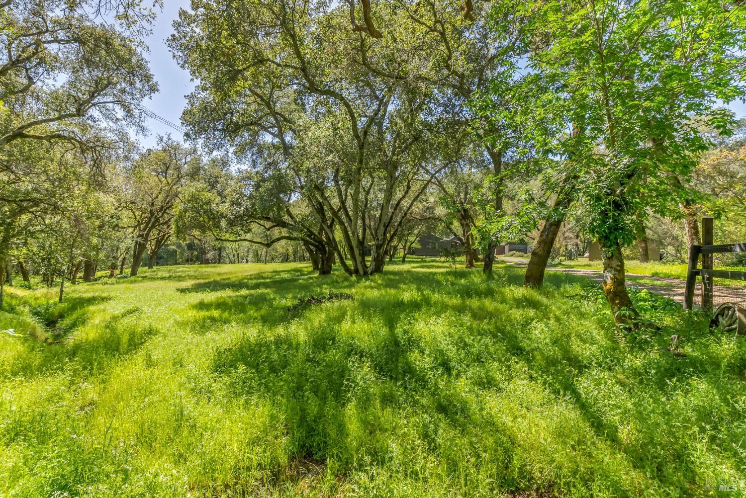 1975 Warm Springs Rd