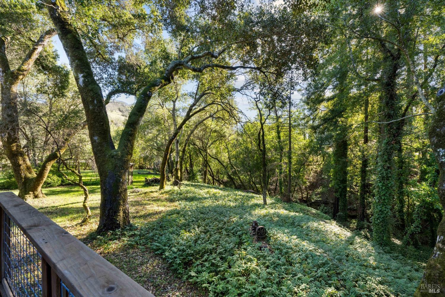 1975 Warm Springs Rd