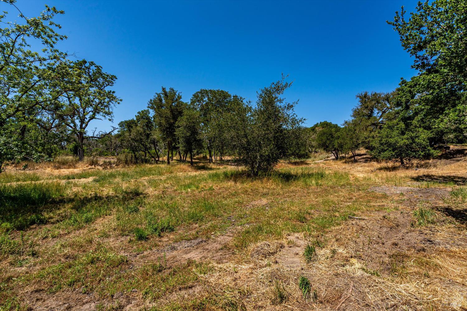3355 Wood Valley Rd