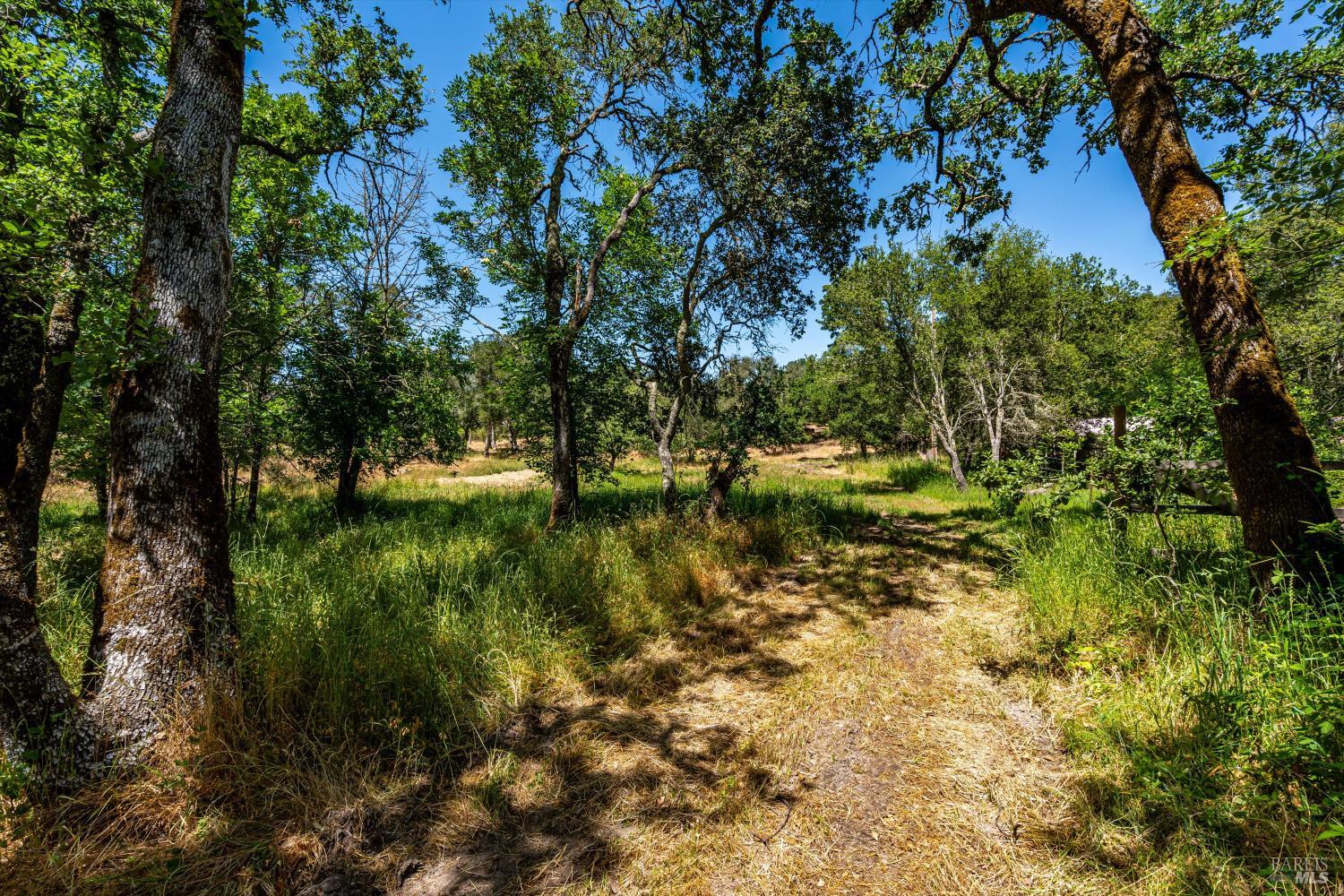 3355 Wood Valley Road