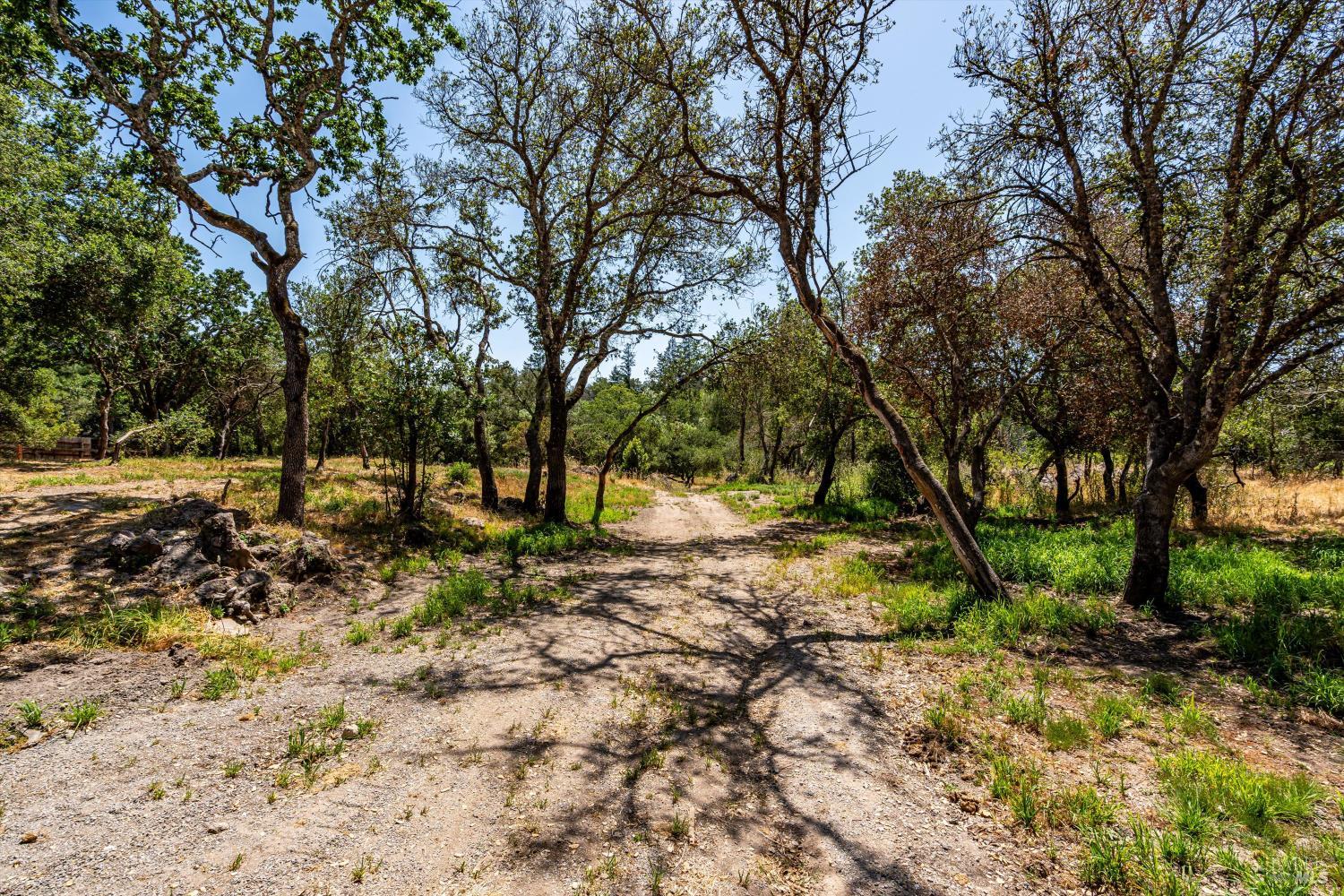 3355 Wood Valley Rd