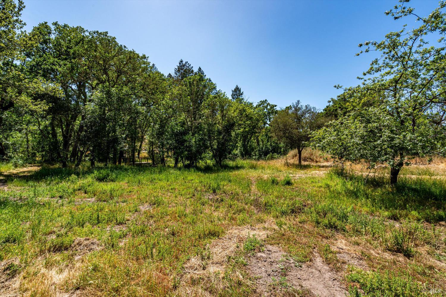 3355 Wood Valley Rd