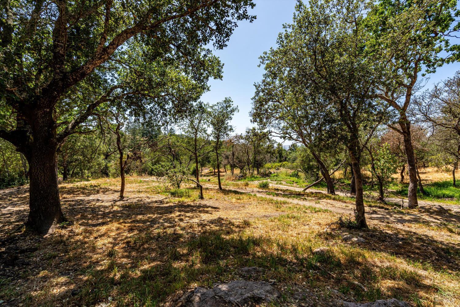 3355 Wood Valley Rd