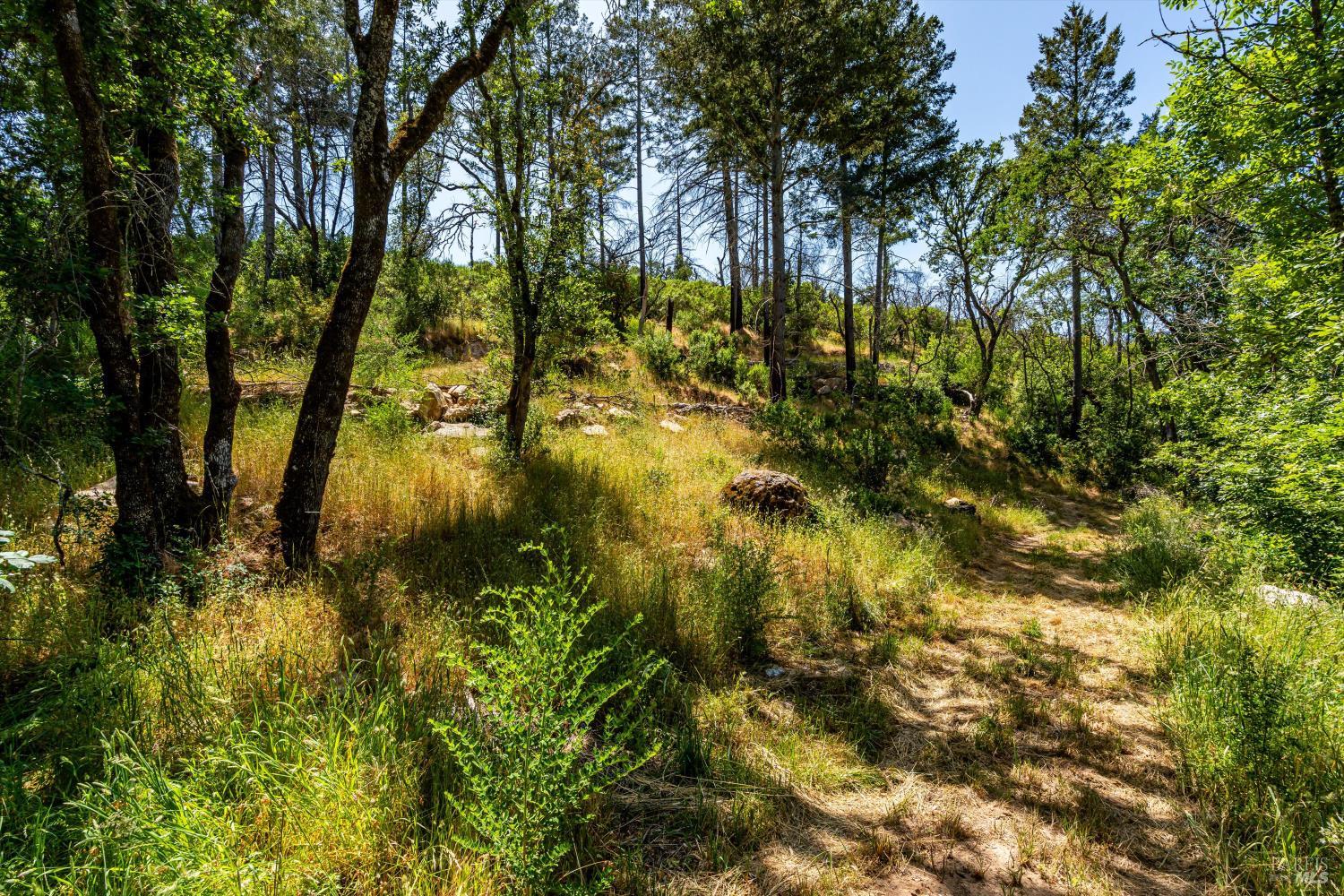 3355 Wood Valley Road