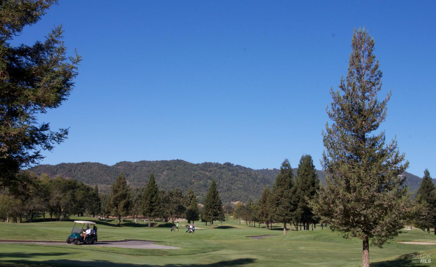 18509 Wellesley Court