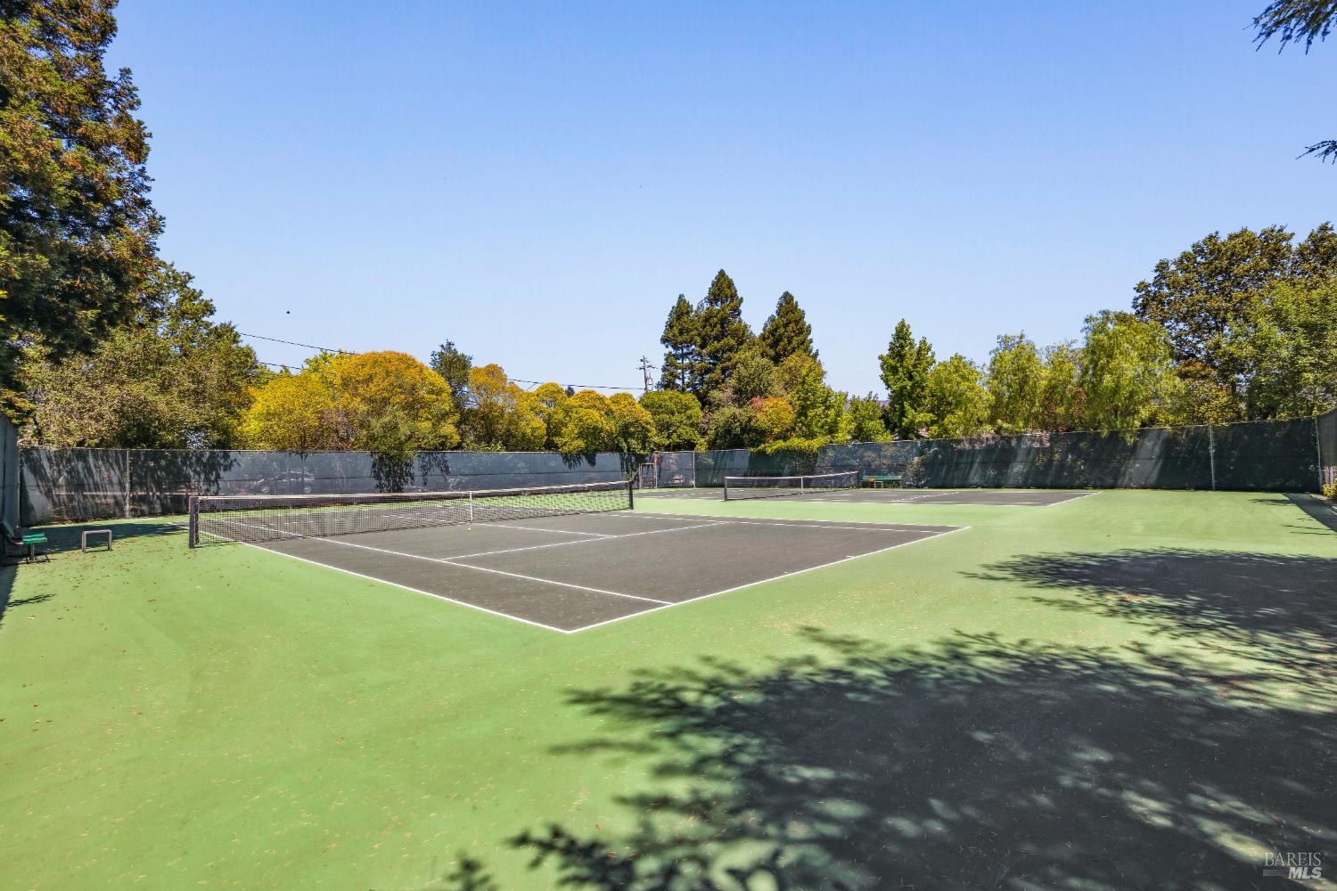 18509 Wellesley Court