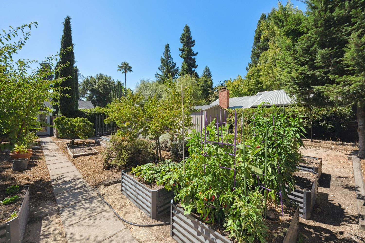 354 East Napa Street