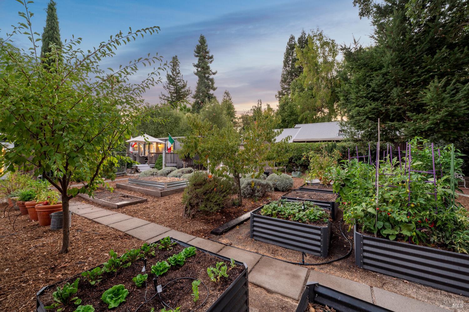 354 East Napa Street