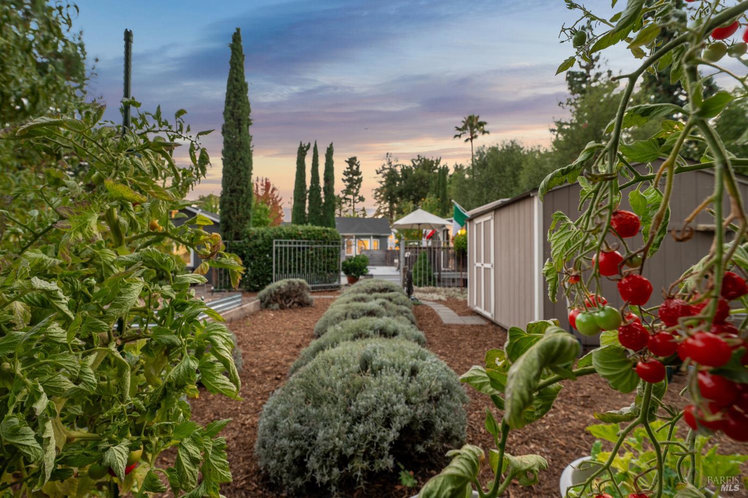 354 East Napa Street