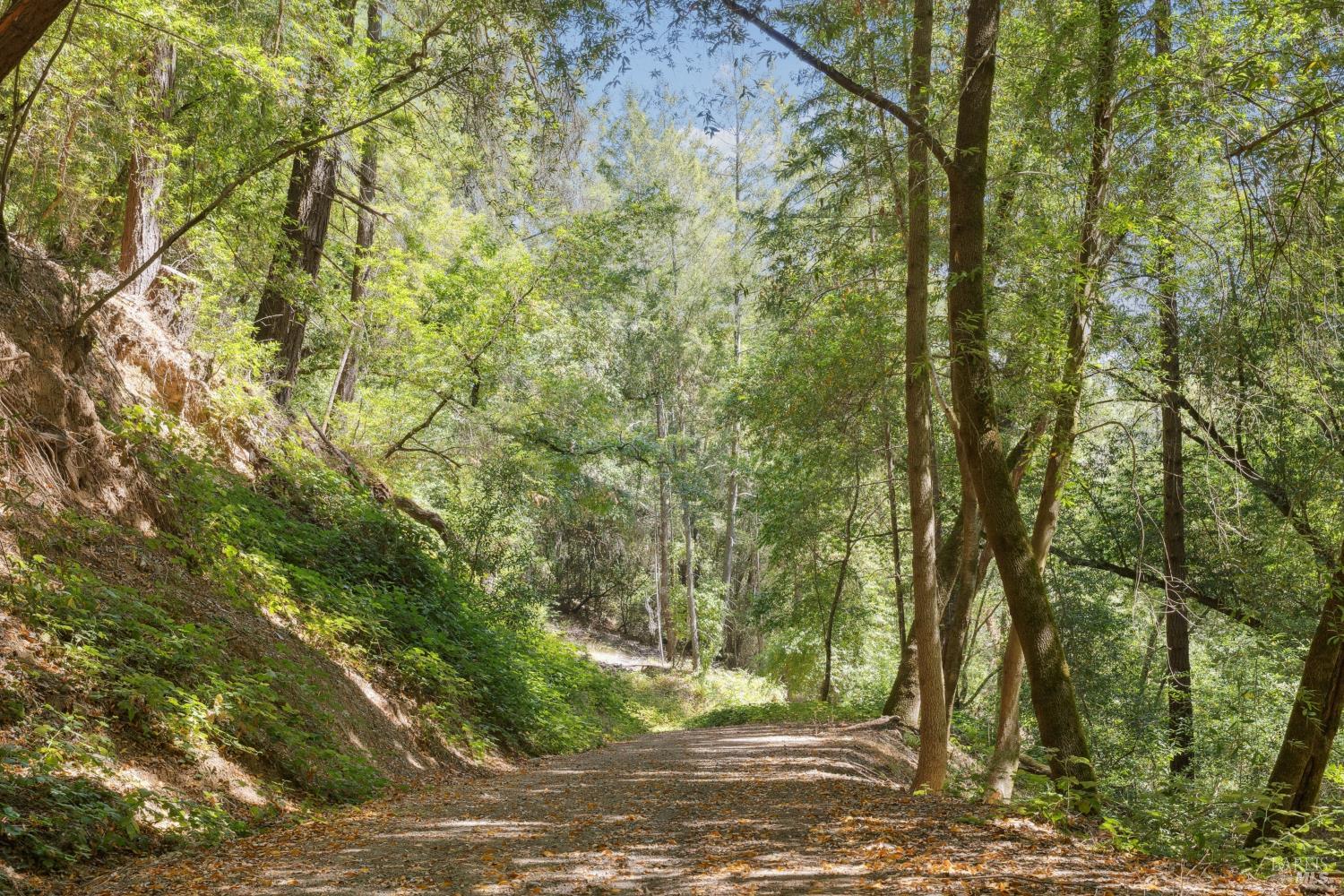 1311 W Dry Creek Road