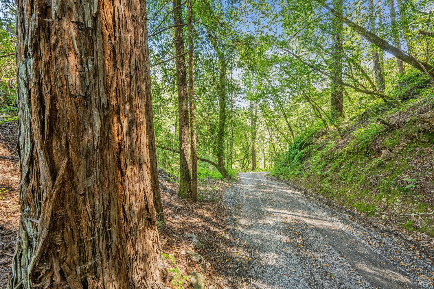 1311 W Dry Creek Road